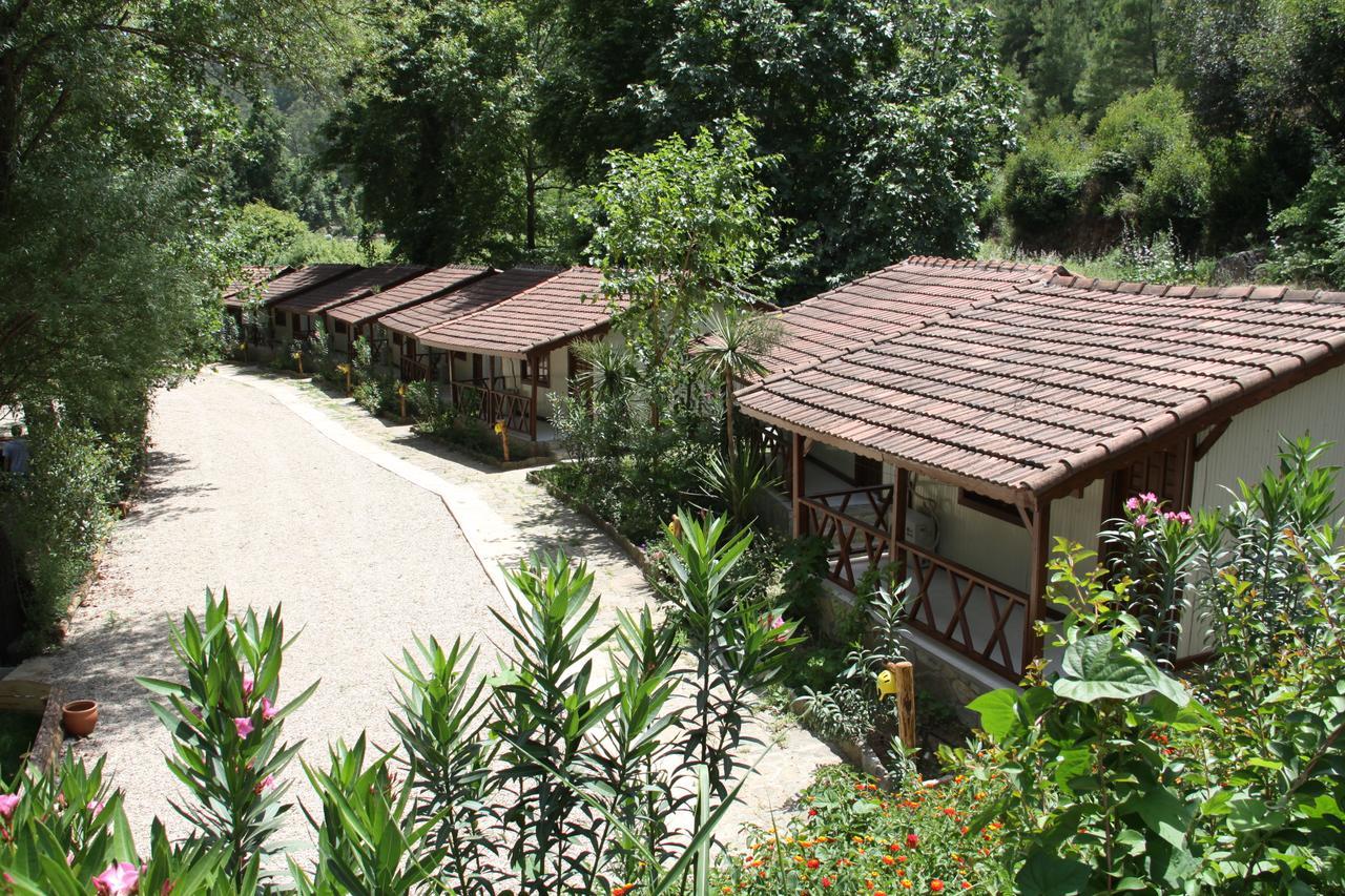 Eco Family Park Hotel Beskonak Exterior photo