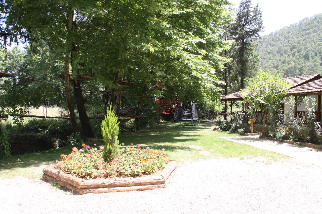 Eco Family Park Hotel Beskonak Exterior photo