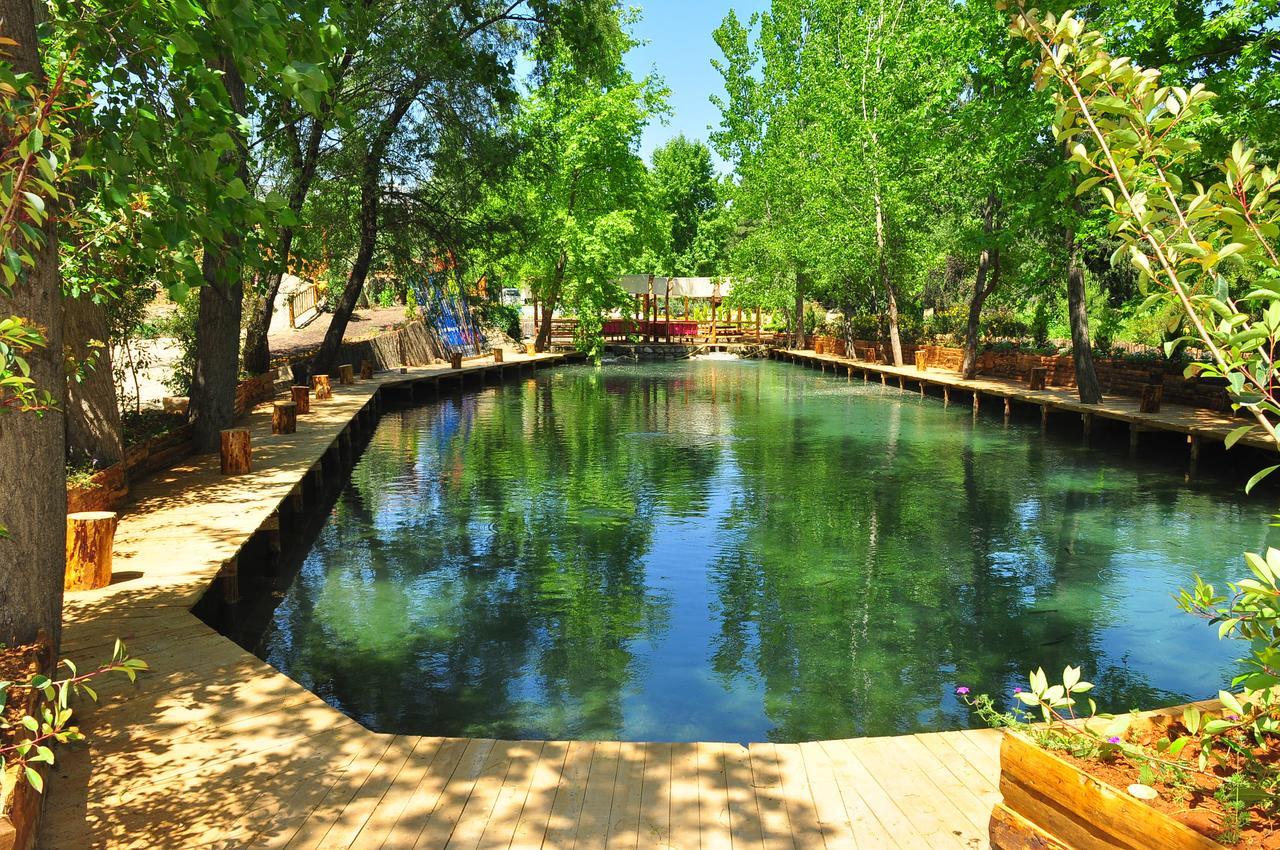 Eco Family Park Hotel Beskonak Exterior photo