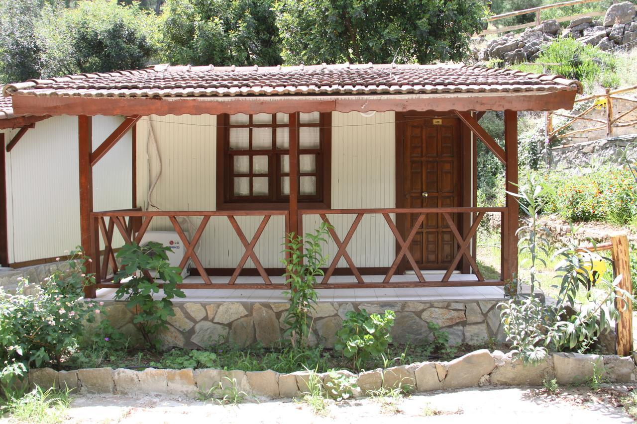 Eco Family Park Hotel Beskonak Room photo