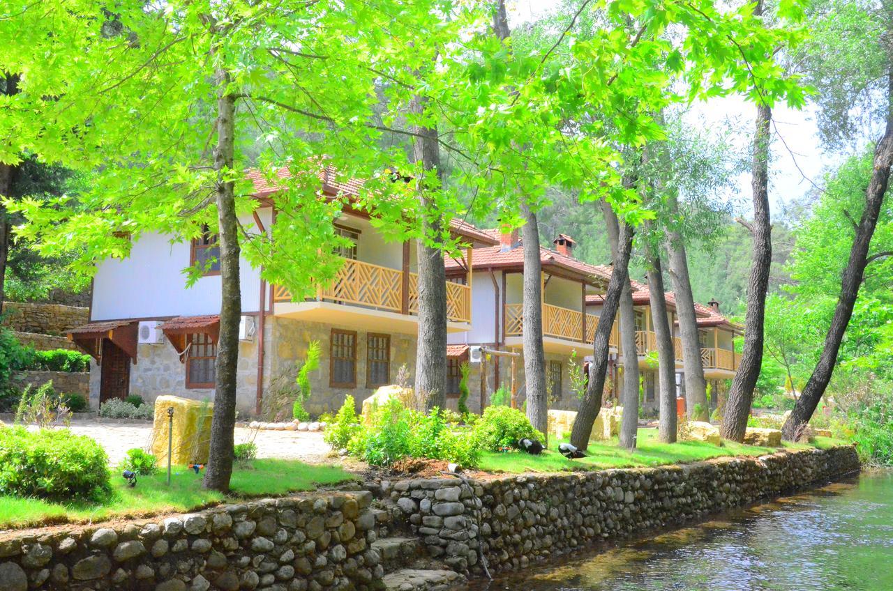 Eco Family Park Hotel Beskonak Exterior photo